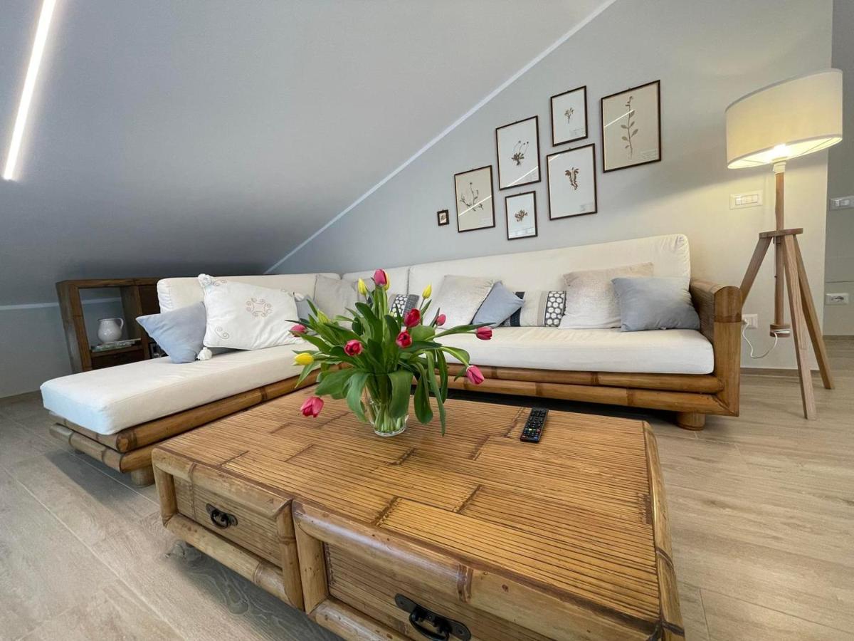 Otium Rooms / Camere E Appartamenti Morrovalle Exteriör bild